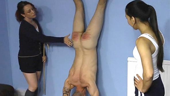 A Test for The Plumber - MP4 