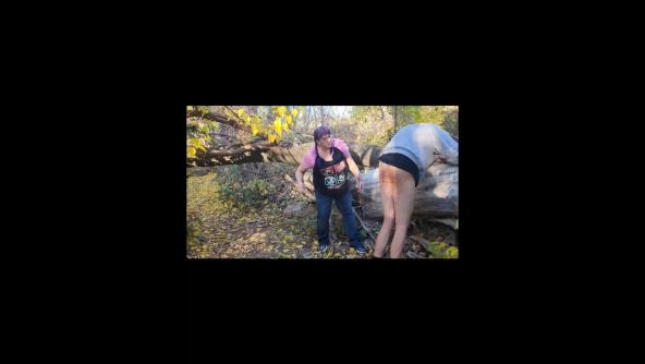 Natasha and Bill have Al pick a switch 